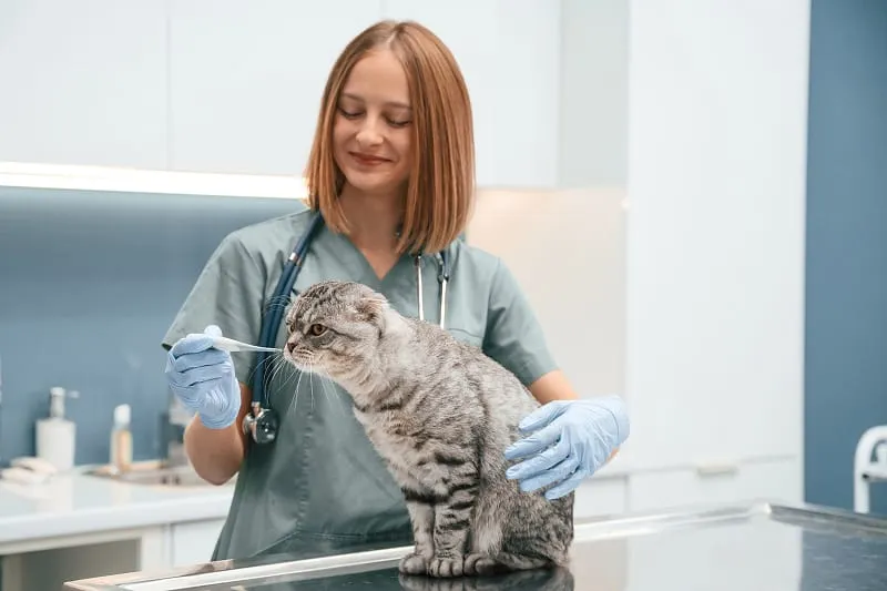 Clínicas veterinarias/Farmacias veterinarias
