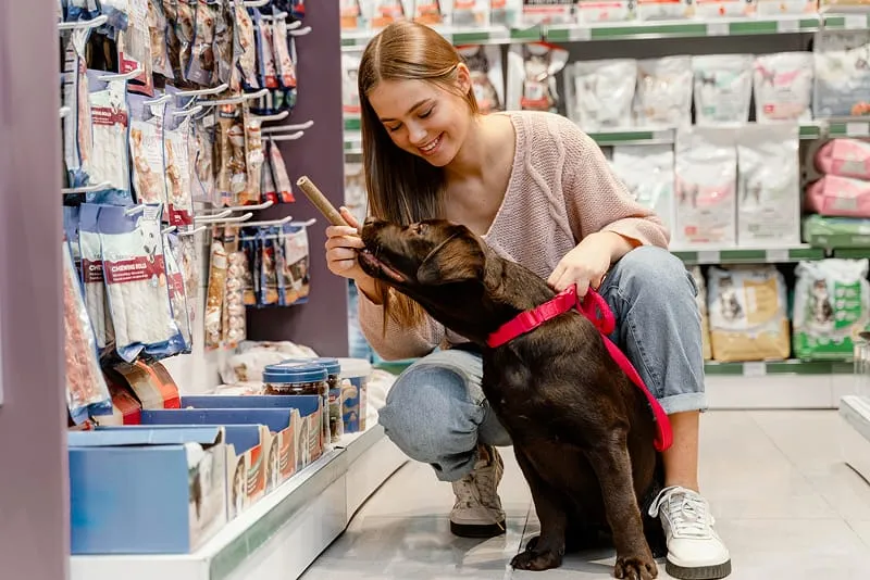 Tiendas de animales (petshops), peluquerías caninas, farmacias