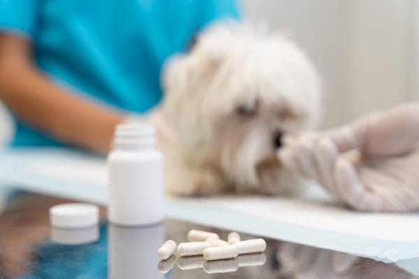 Medicamentos