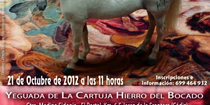 II Campeonati de españa de monta española II Campeonati de españa de monta española