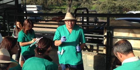 Charla porcina Charla porcina