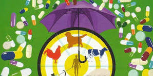 clasificacion-de-antiobioticos-veterinarios