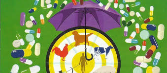 clasificacion-de-antiobioticos-veterinarios clasificacion-de-antiobioticos-veterinarios