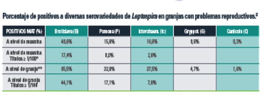 ERYSIPELOTHRIX-PARVOVIRUS-LEPTOSPIRA