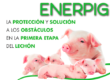 enerpig
