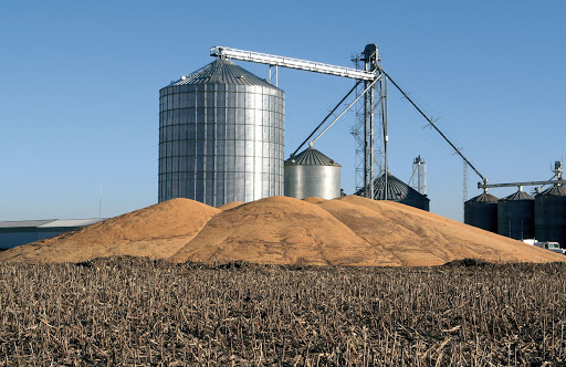 PIENSOS-MEDICAMENTOSOS PIENSOS-MEDICAMENTOSOS